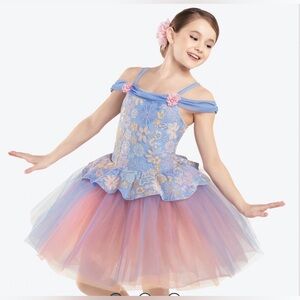 Revolution Blue and Pink Floral Girls Dance Costume Large